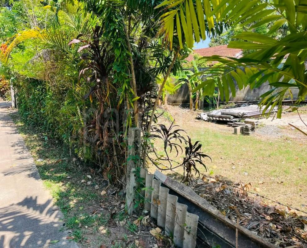 Residential Land for Sale in Pamunugama