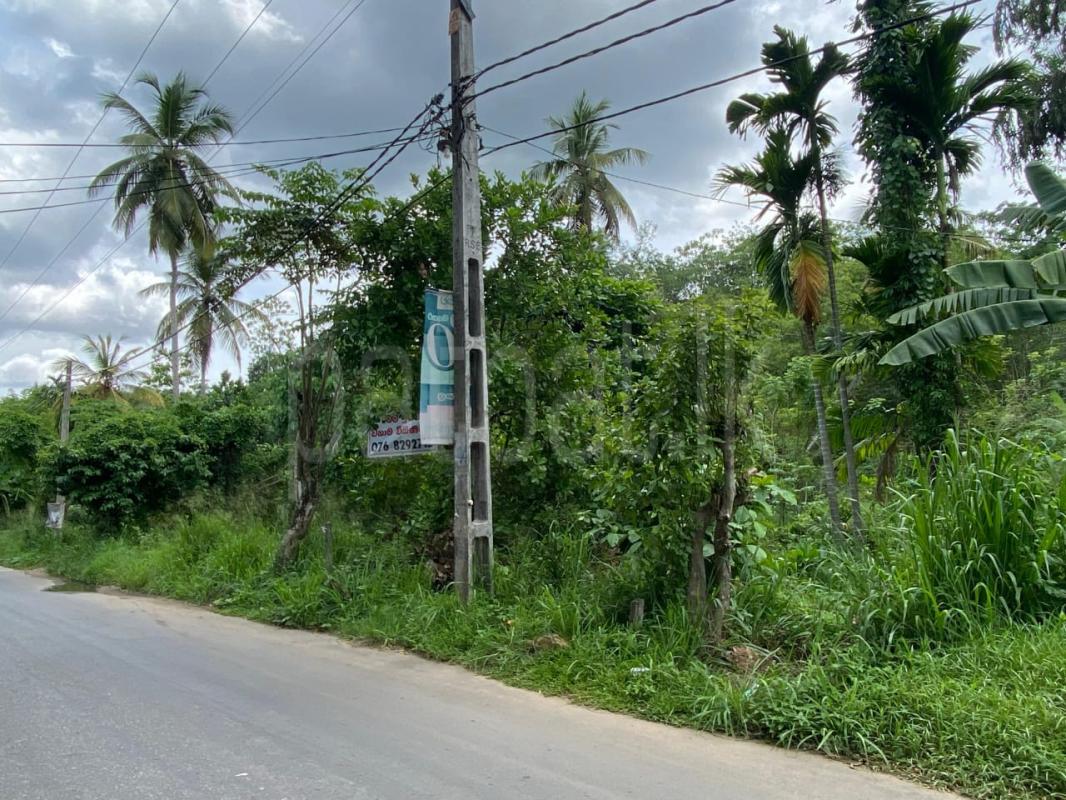 Residential Land for Sale in Ambagaspitiya