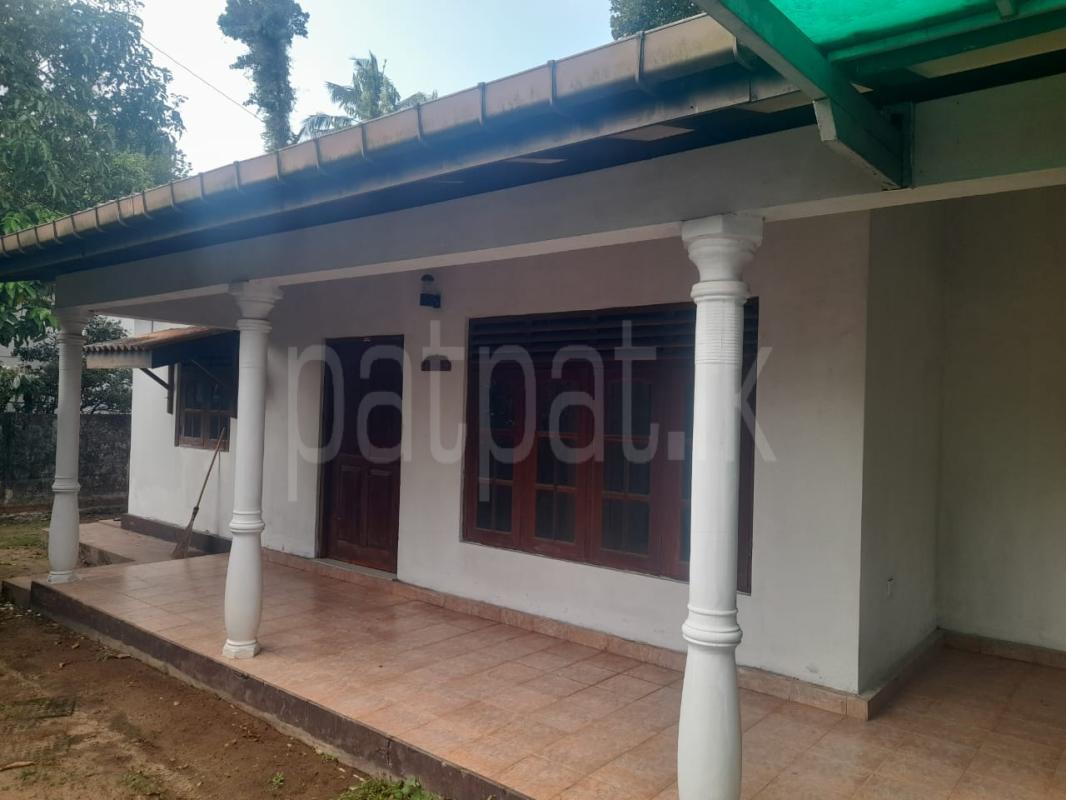 House for Rent in Ja-Ela