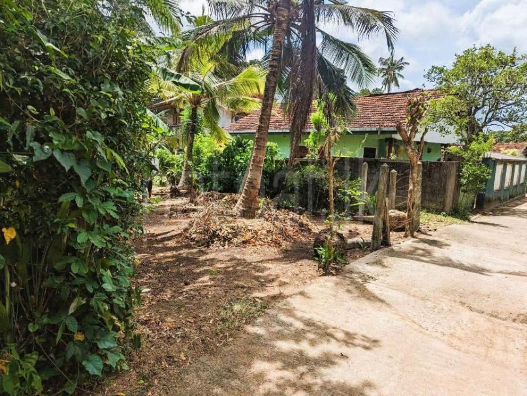 Advertisement image 6