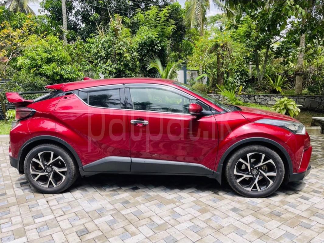 Advertisement image 6