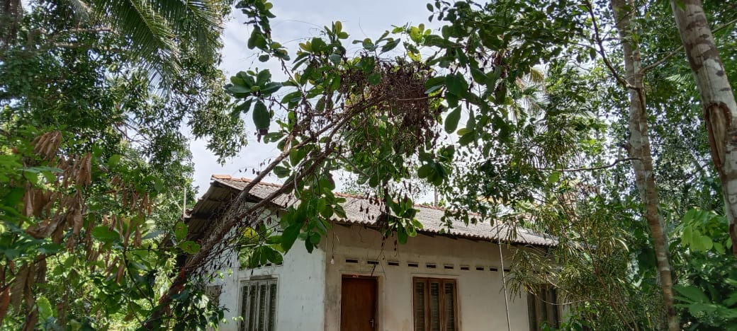 Residential Land for Sale in Gampaha