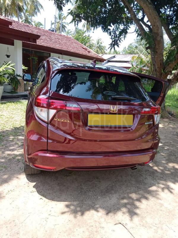 Advertisement image 4