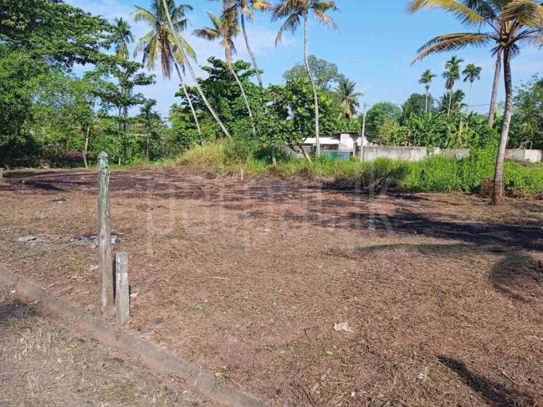 Agricultural Land for Sale in Panadura