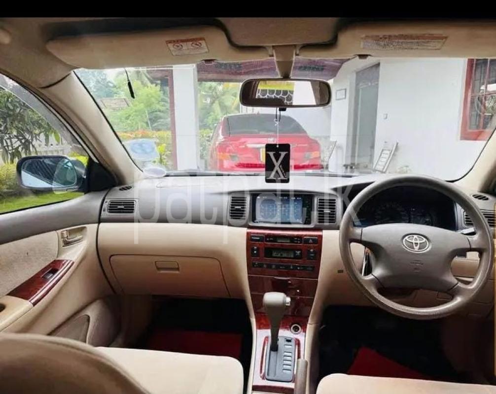 Advertisement image 6