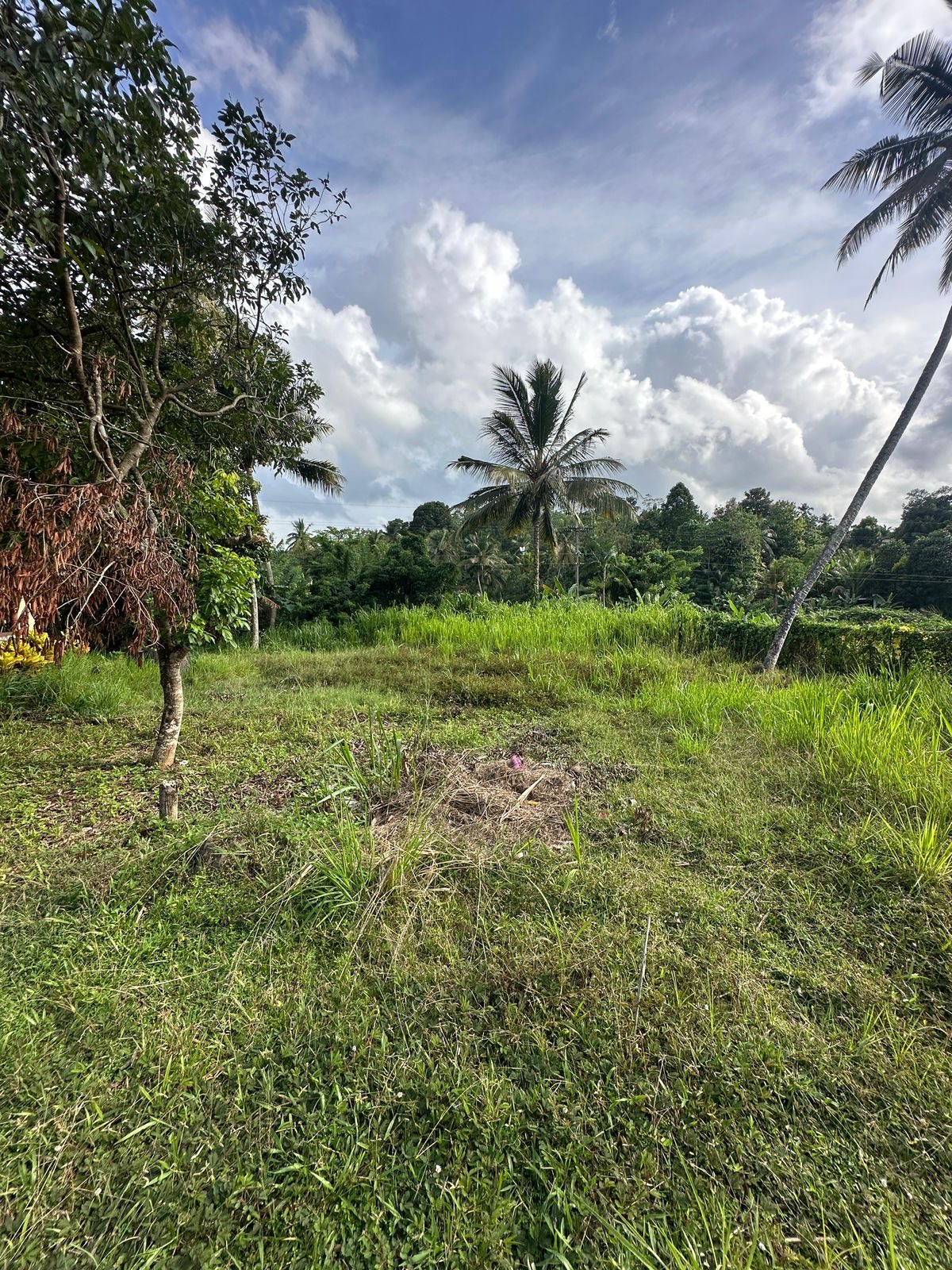  Land for Sale in Mirigama