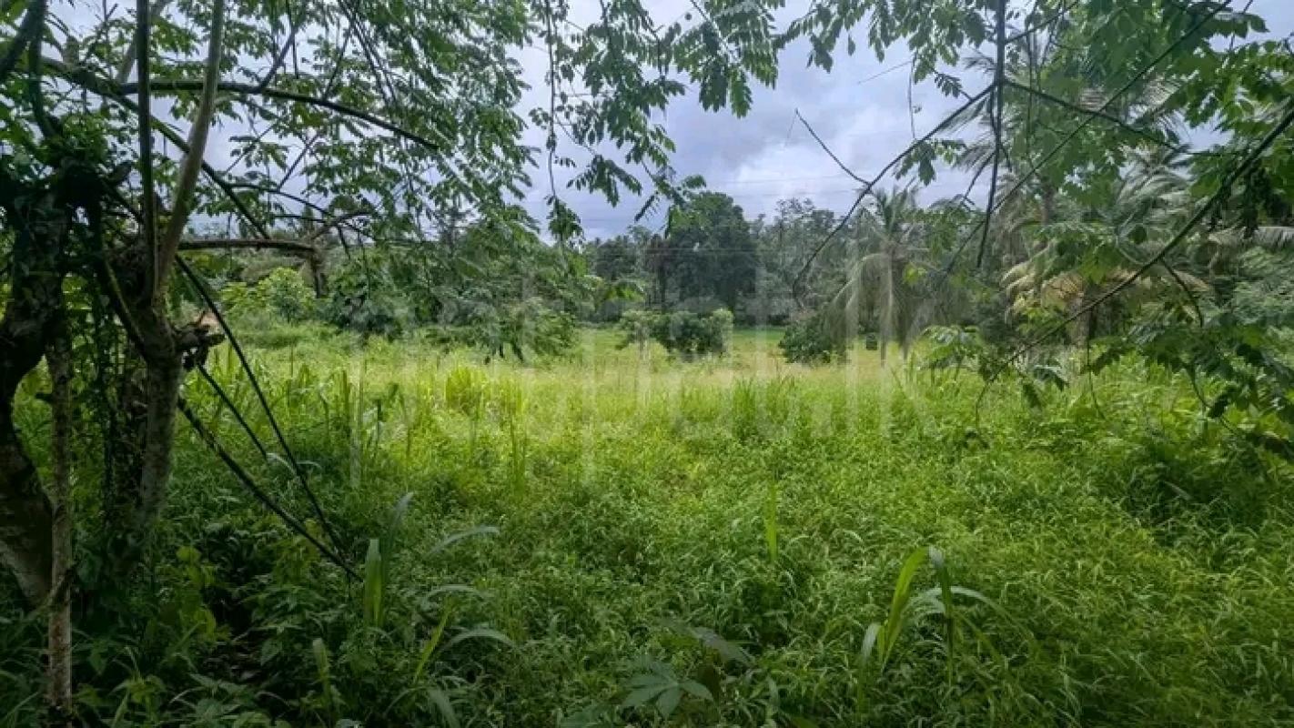 Commercial Land for Sale in Nittambuwa