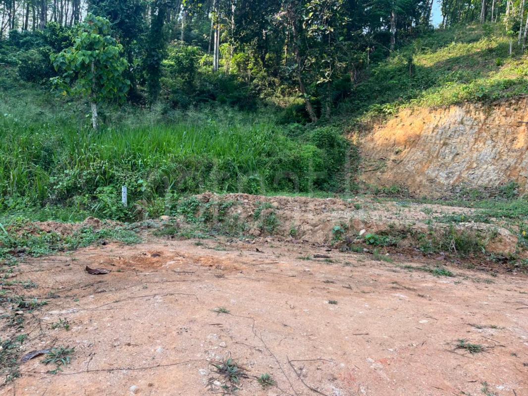 Commercial Land for Sale in Galigamuwa Town