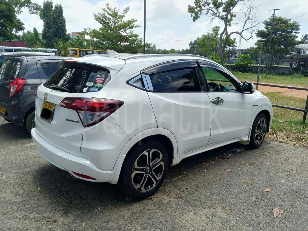 Advertisement image 1