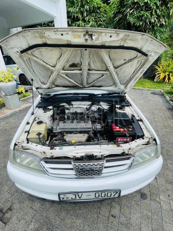 Advertisement image 6