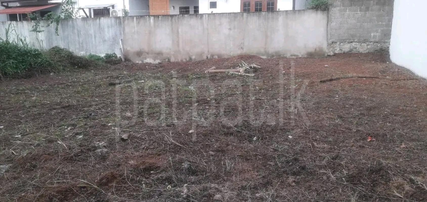 Agricultural Land for Sale in Puttalam