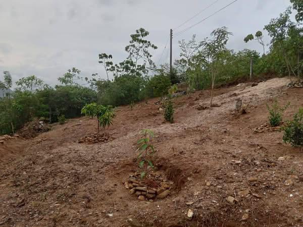 Residential Land for Sale in Homagama