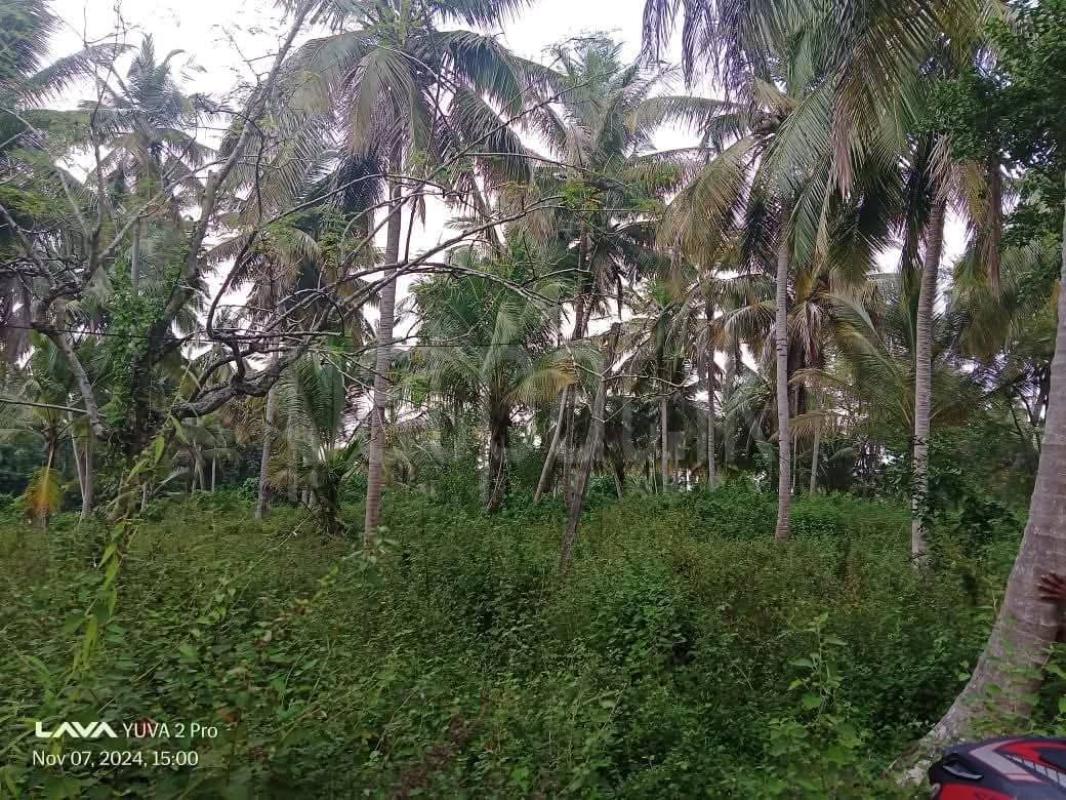 Agricultural Land for Sale in Kurunegala
