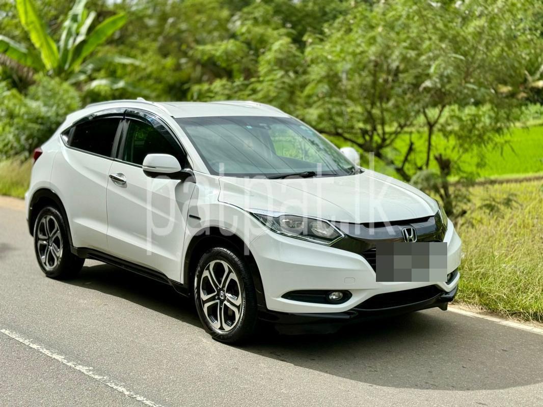 Advertisement image 4