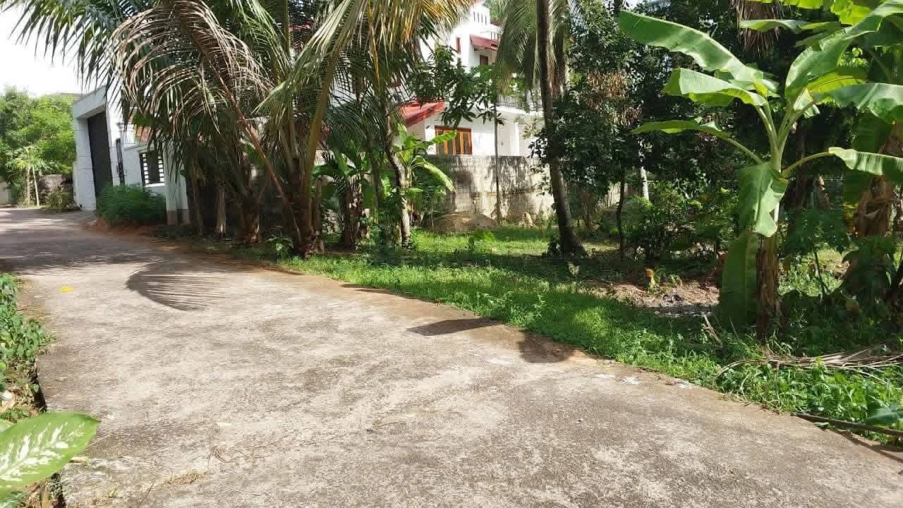 Commercial Land for Sale in Delgoda