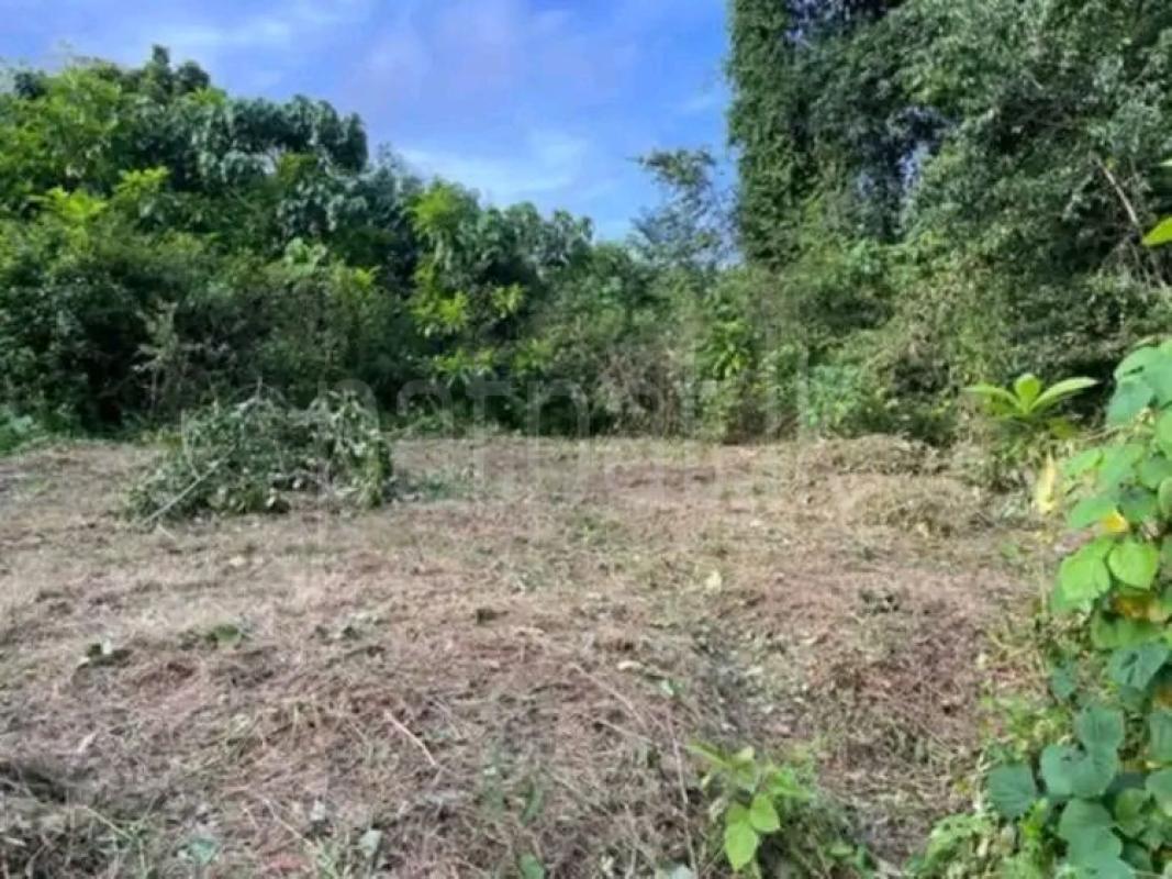 Residential Land for Sale in Padukka ads-image-1