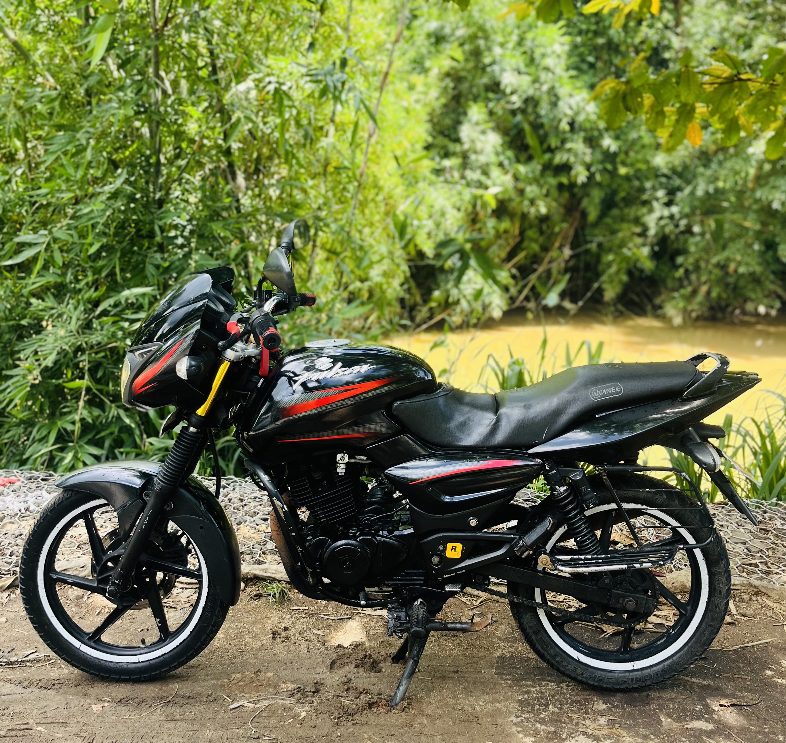 Bajaj Pulsar 2005 - Used Bike sale in Sri Lanka - patpat.lk