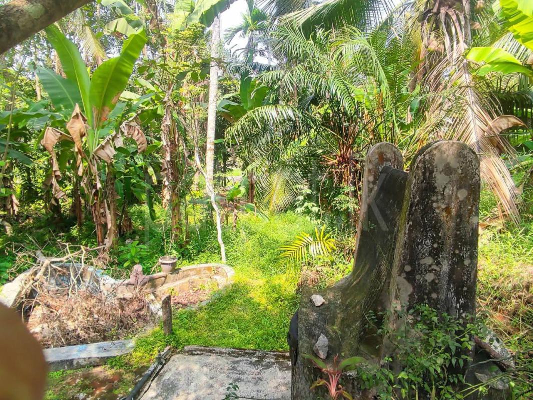 Commercial Land for Sale in Athurugiriya