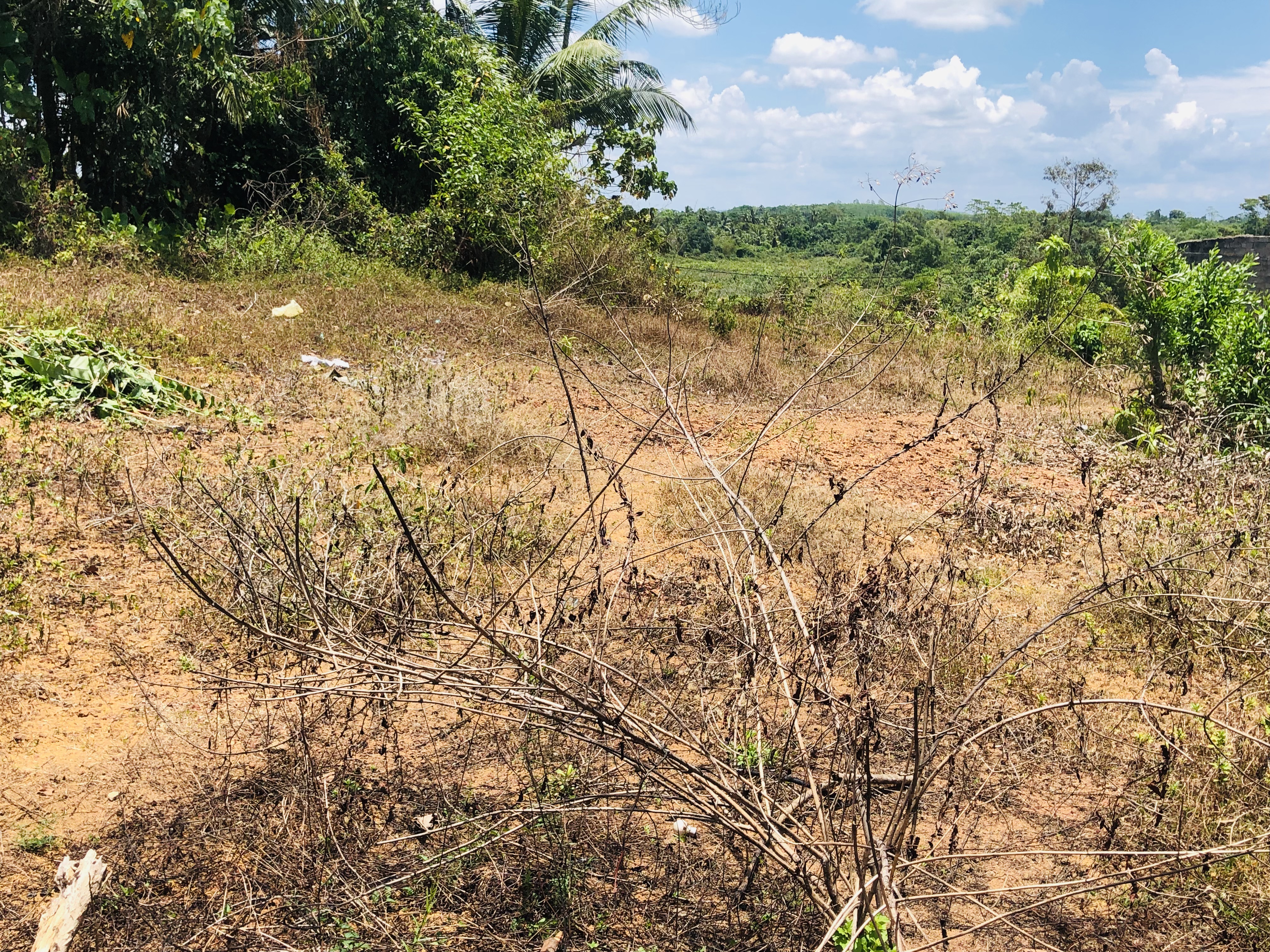 Residential Land for Sale in Koholana