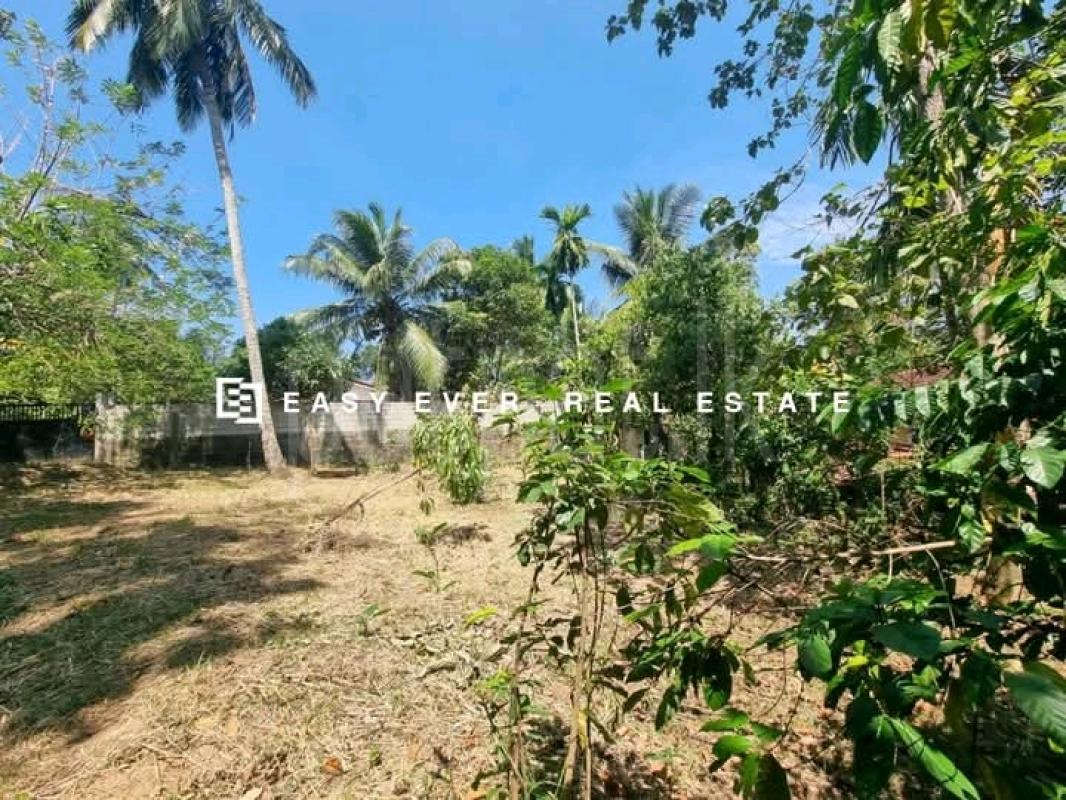 Commercial Land for Sale in Mirigama