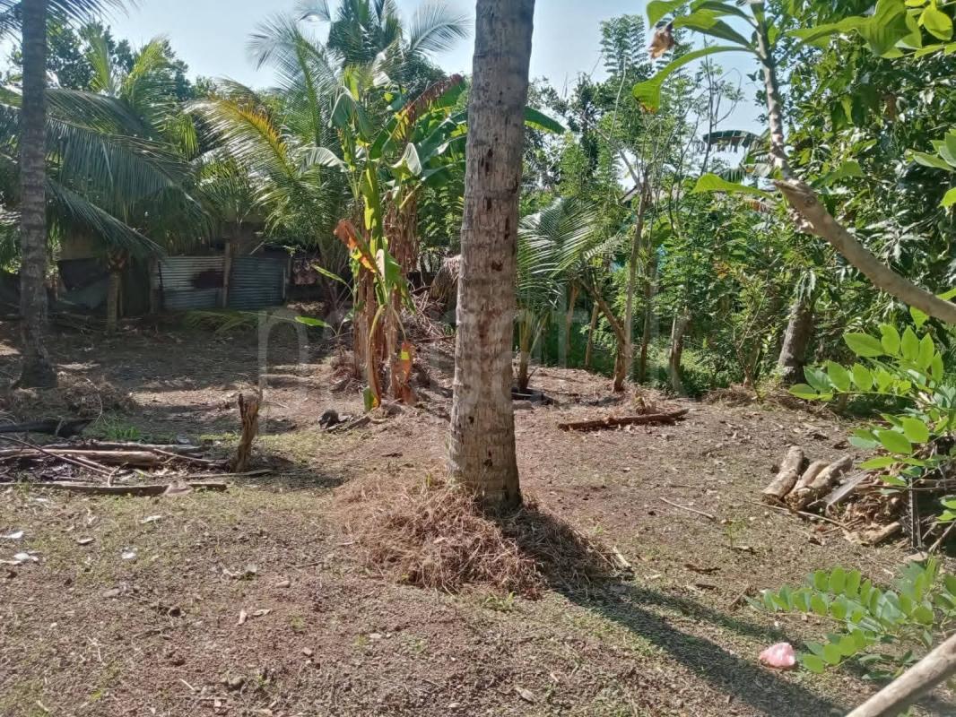 Residential Land for Sale in Kadawatha