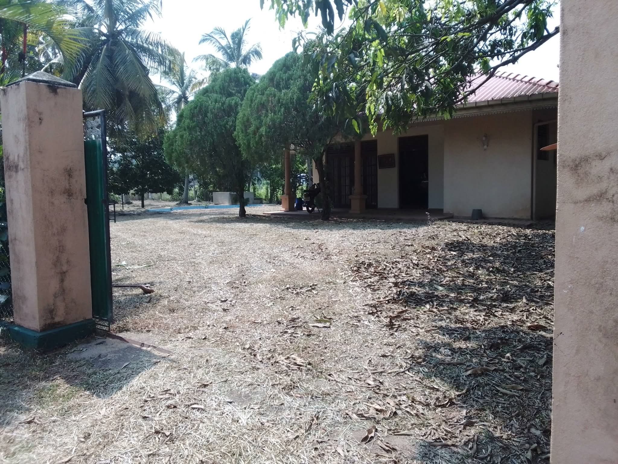 Residential Land for Sale in Katana