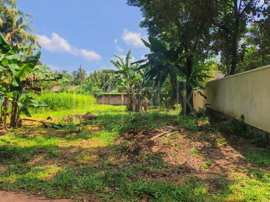Residential Land for Sale in Veyangoda
