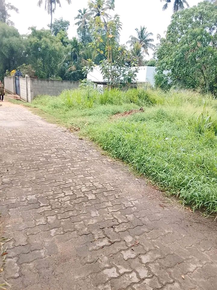 Residential Land for Sale in Kurunegala