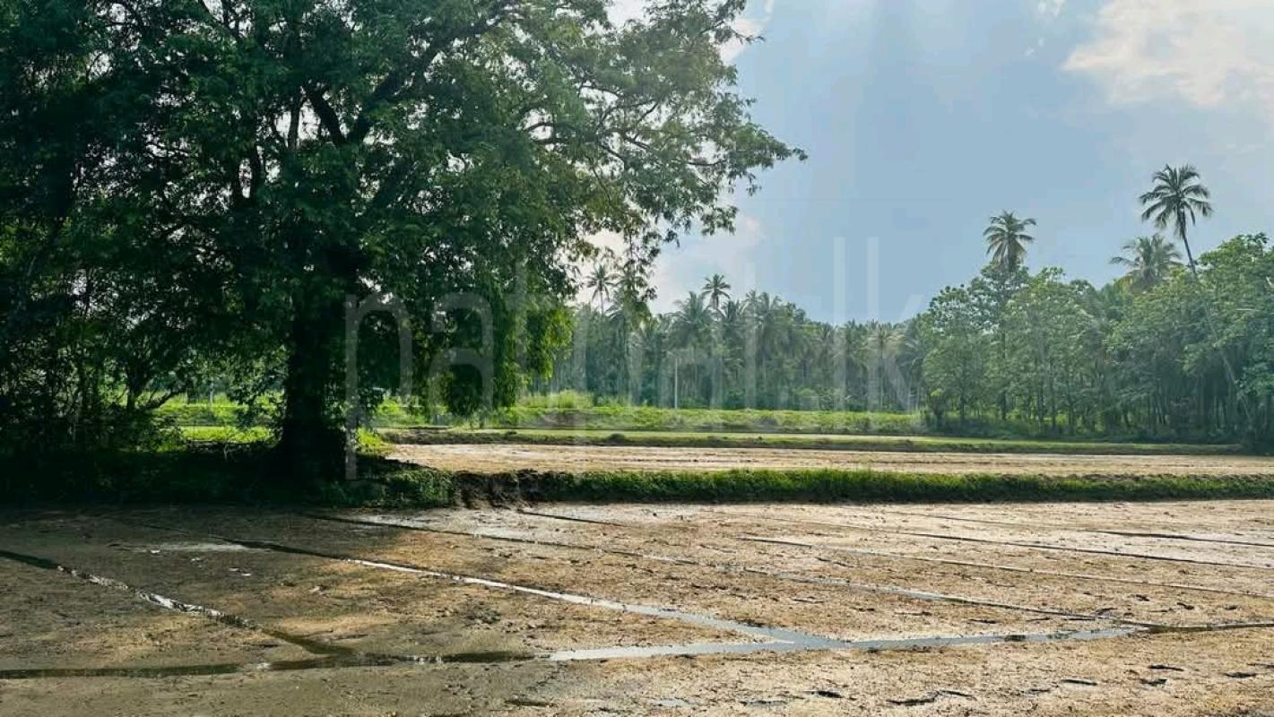 Agricultural Land for Sale in Mawathagama ads-image-1
