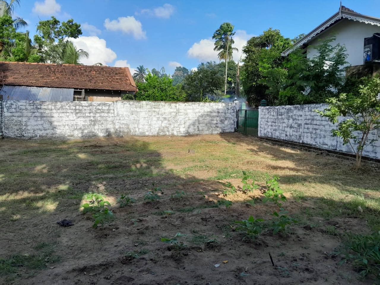 Residential Land for Sale in Divulapitiya