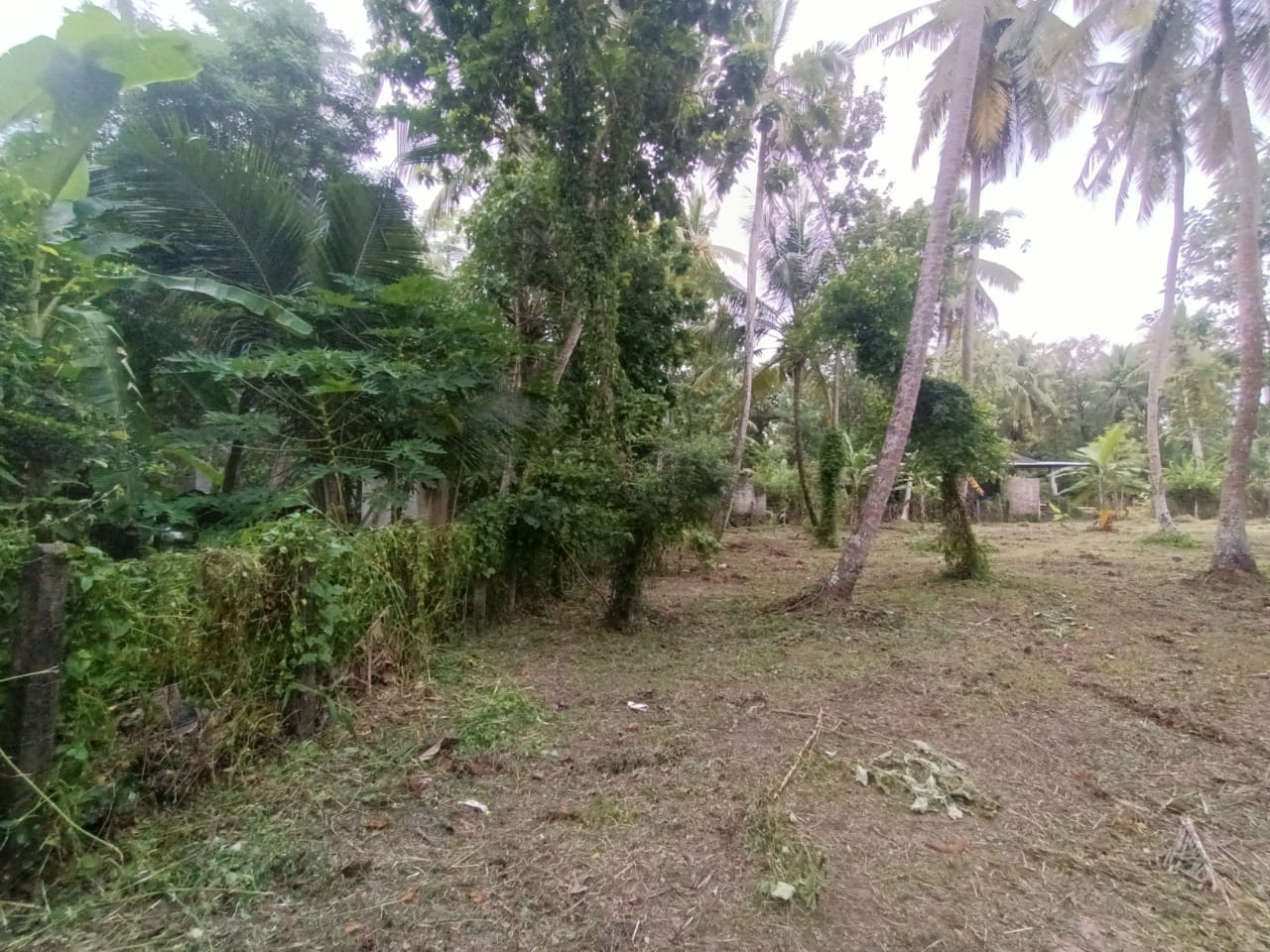 Residential Land for Sale in Marawila
