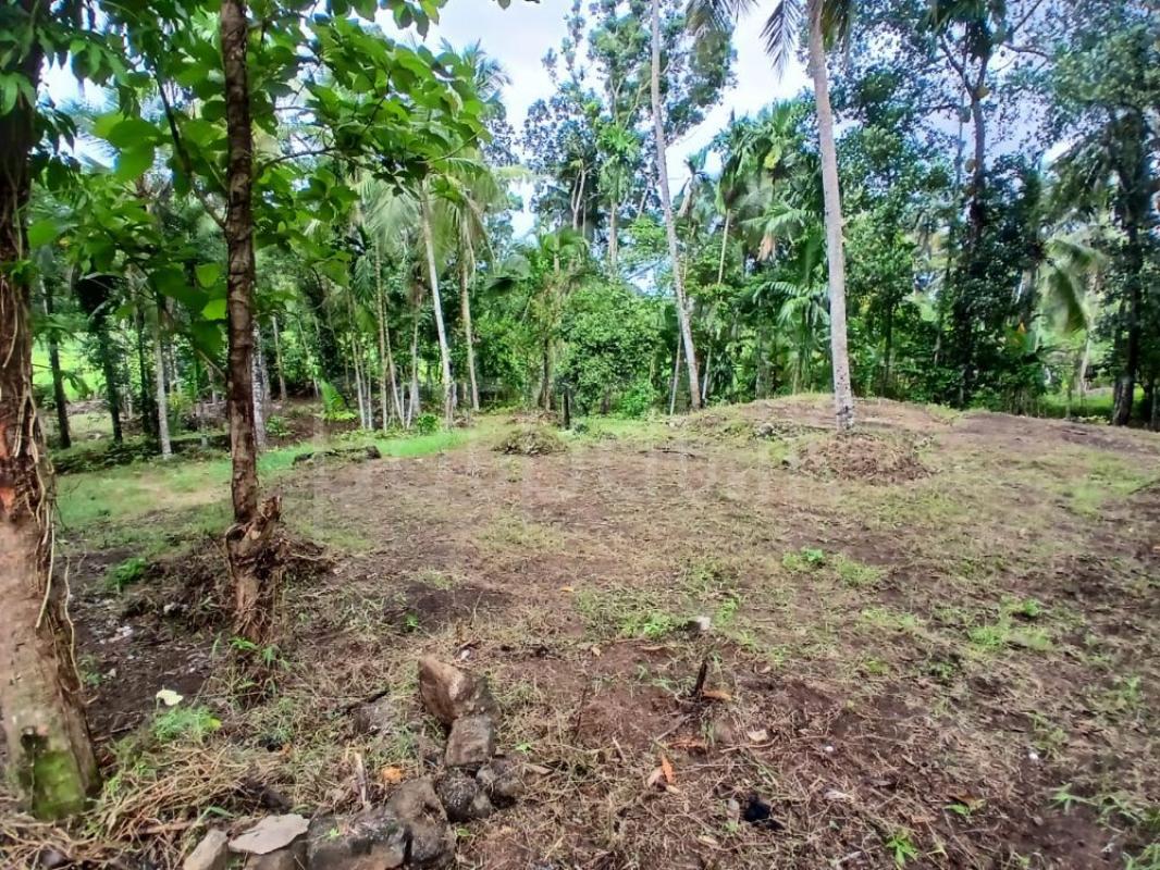 Residential Land for Sale in Weliveriya