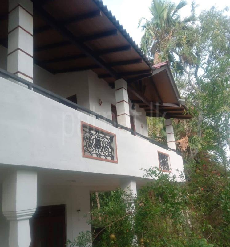 House for Rent in Ragama ads-image-1