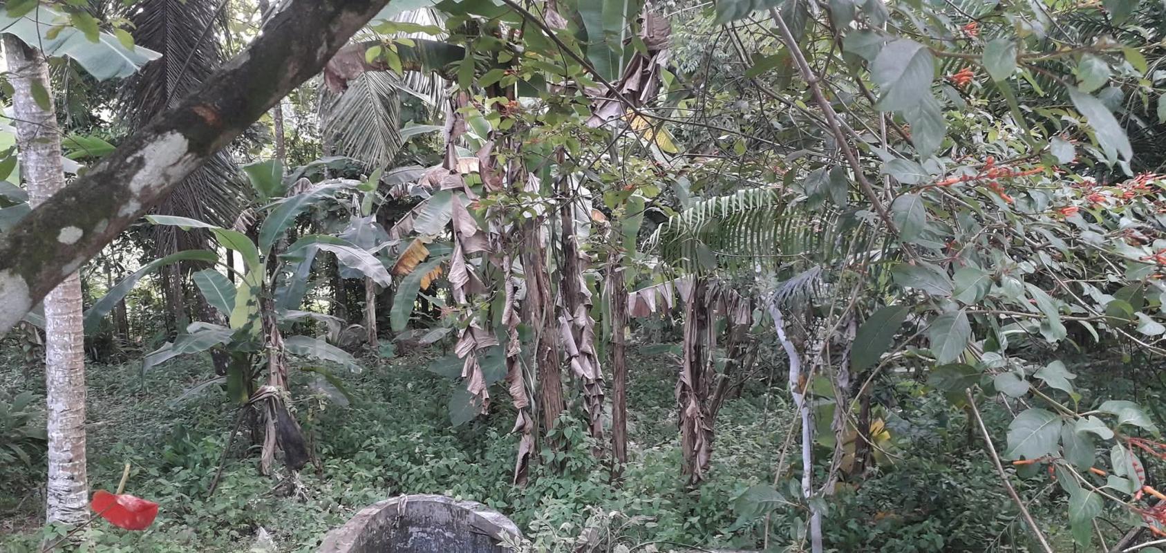 Commercial Land for Sale in Athurugiriya