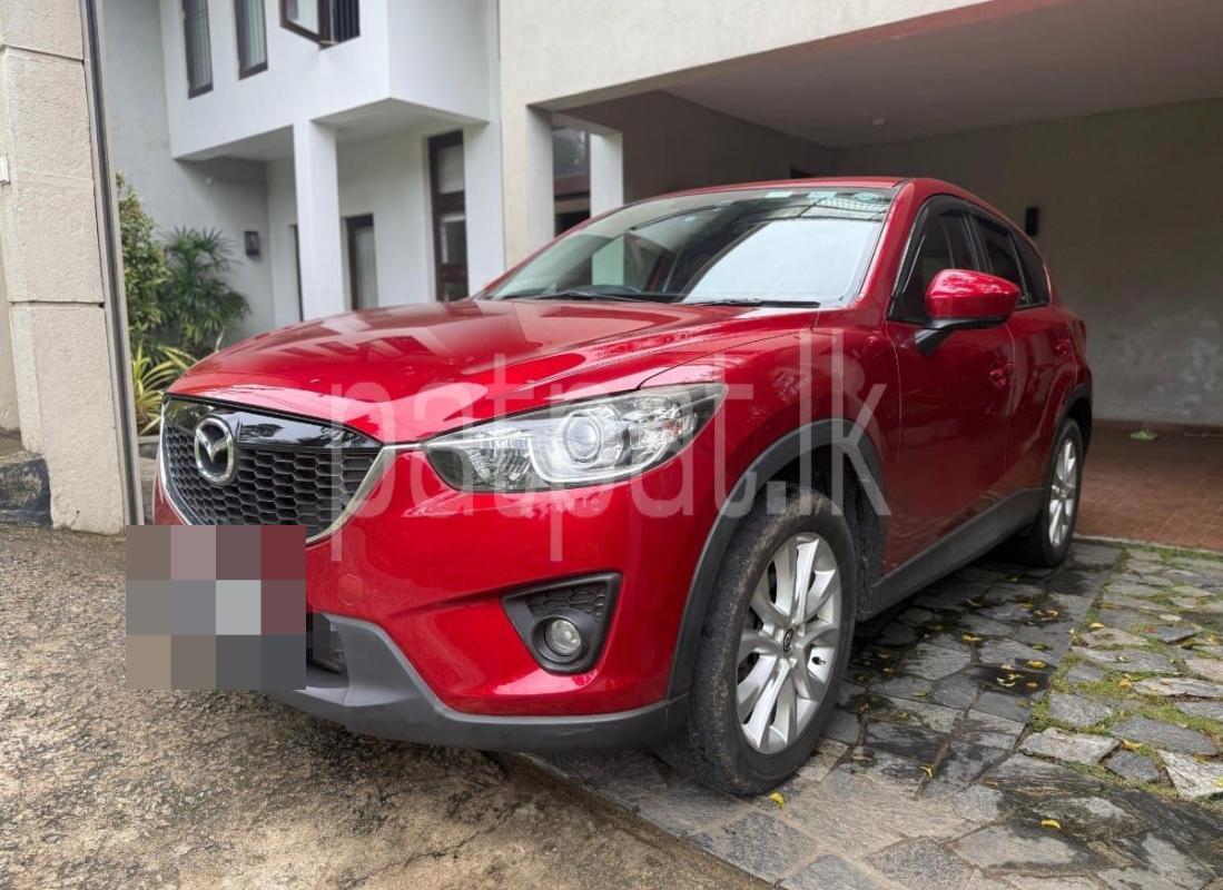 Advertisement image 1