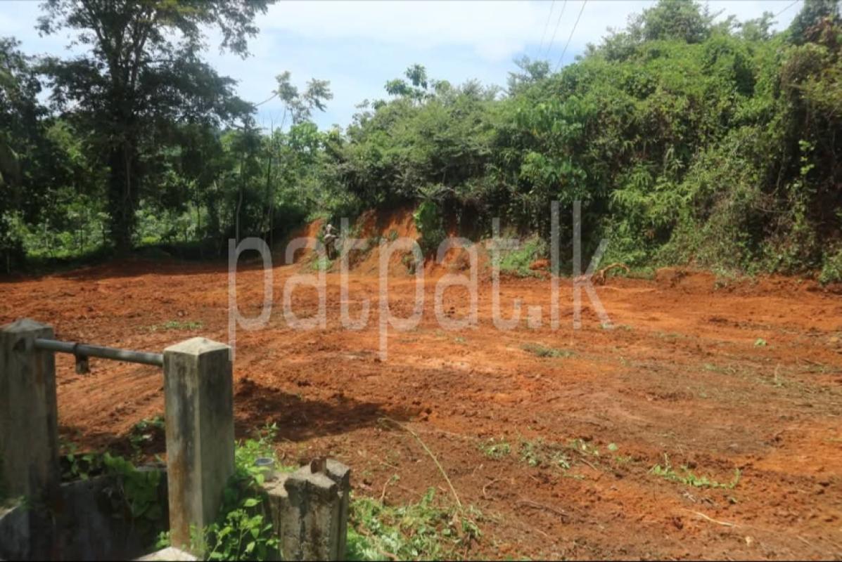 Advertisement image 1