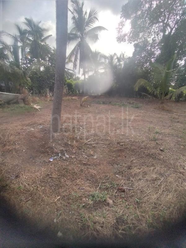 Residential Land for Sale in Ganemulla ads-image-1