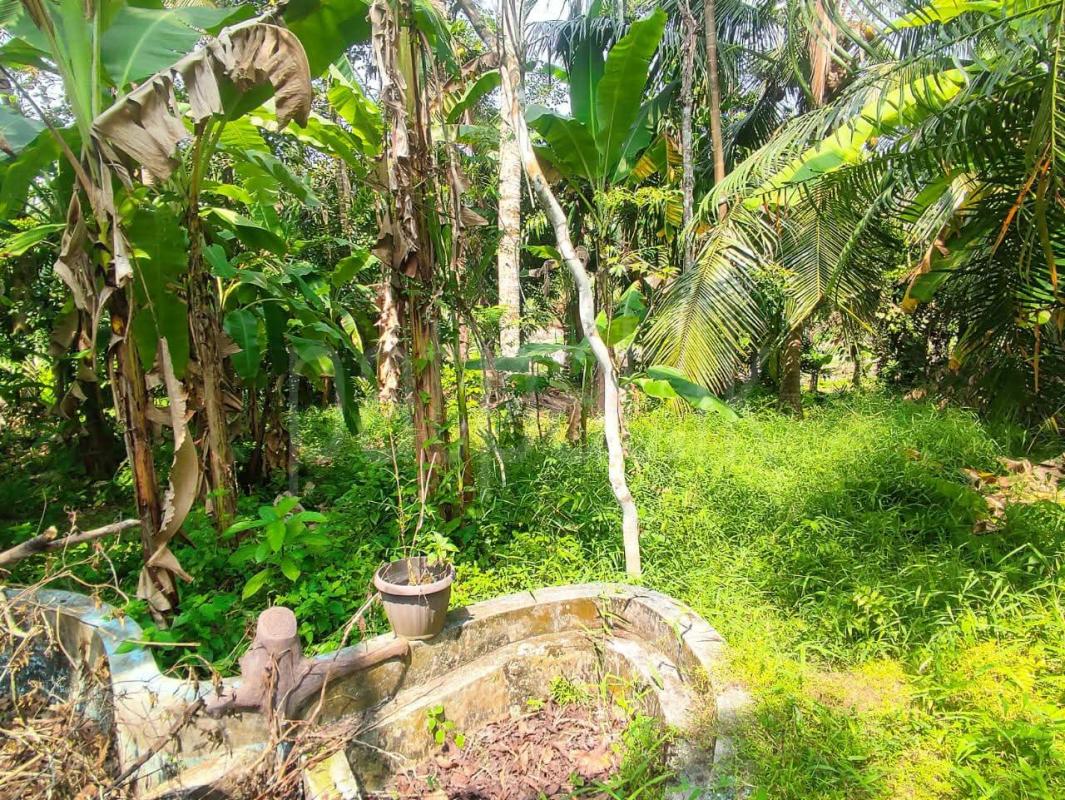 Commercial Land for Sale in Athurugiriya