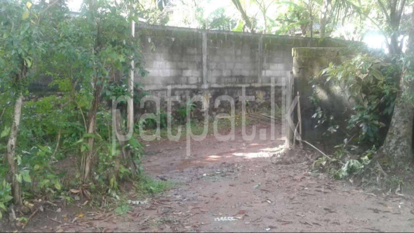 Advertisement image 6