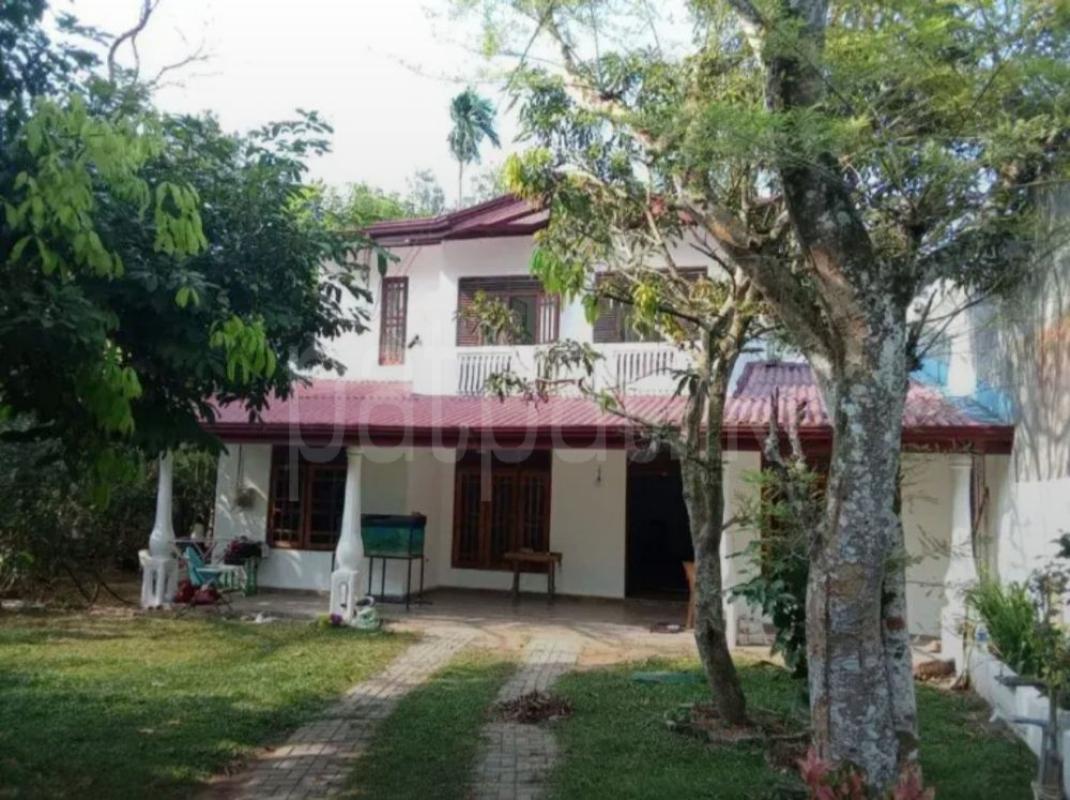 premium-listing-image