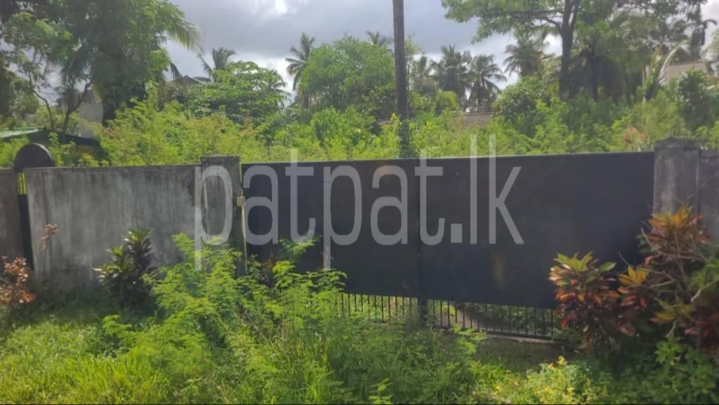 Advertisement image 6