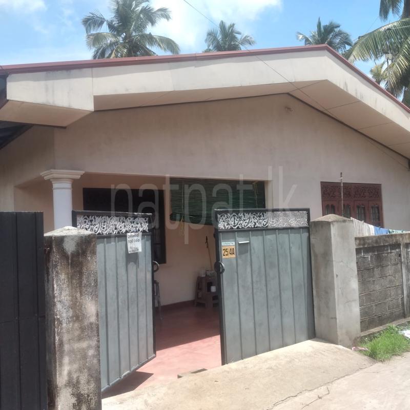 House for Rent in Negombo ads-image-1