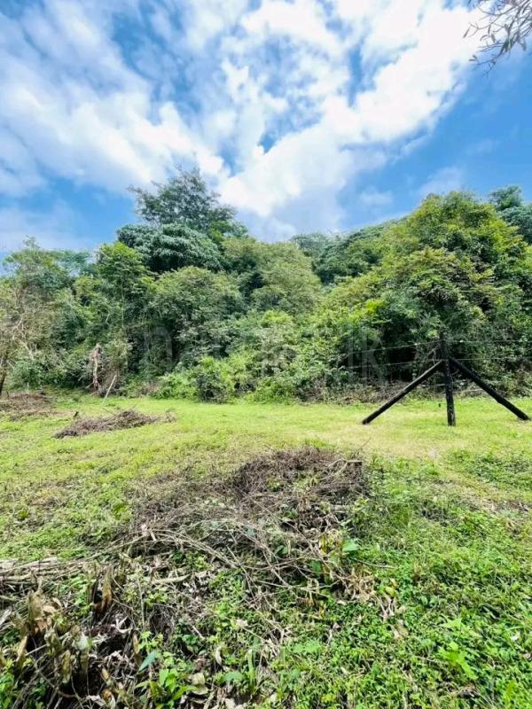 Agricultural Land for Sale in Kandalama