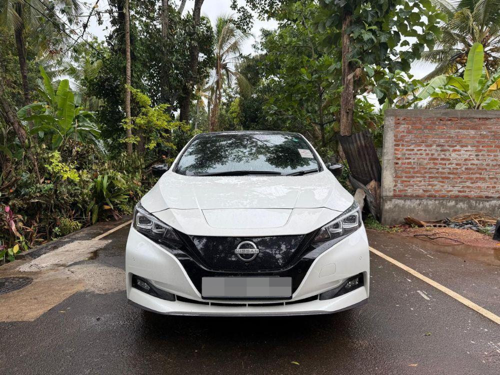 Nissan Leaf 2015 ads-image-1