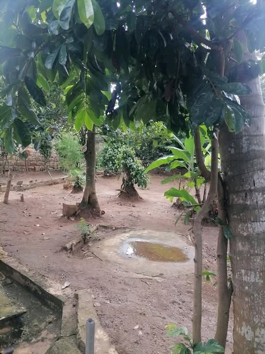 Commercial Land for Sale in Kandy