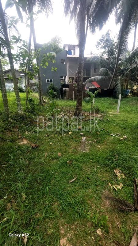 Agricultural Land for Sale in Ridigama ads-image-1