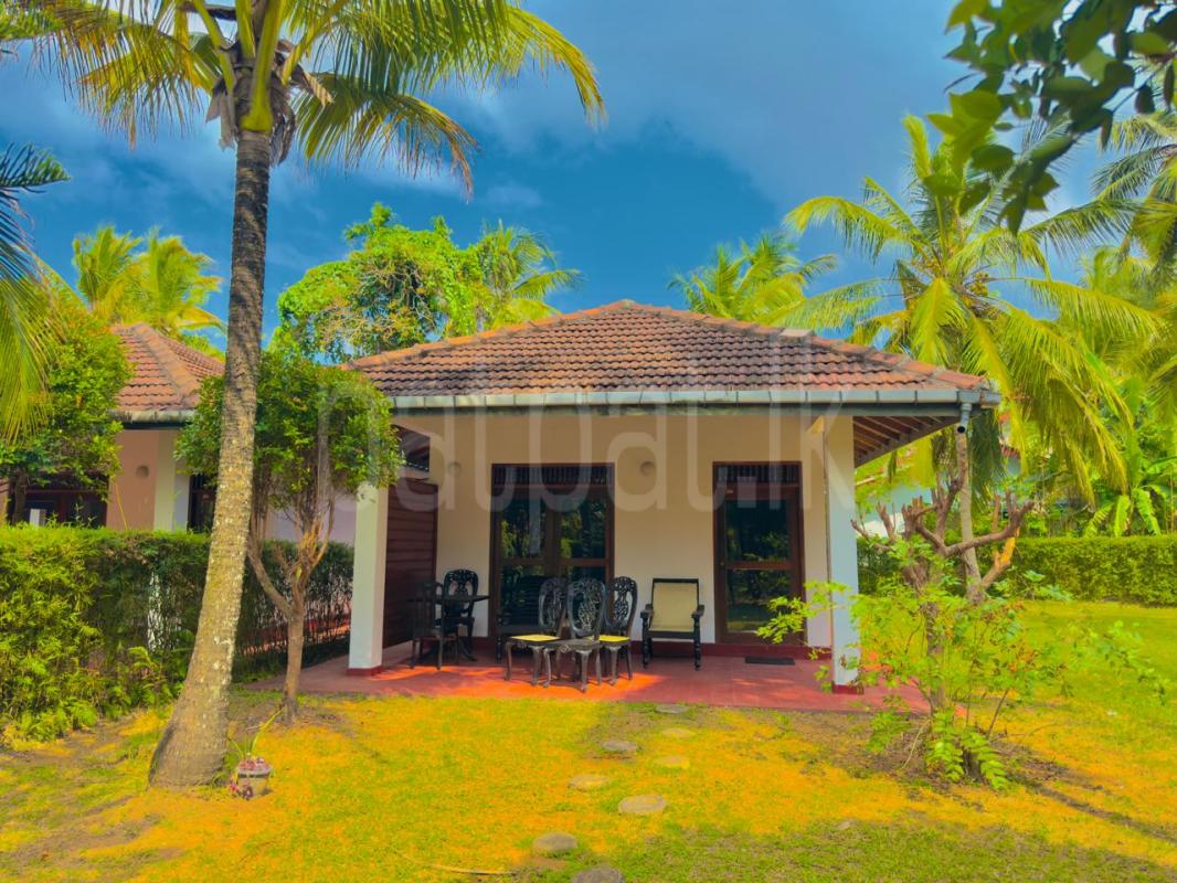 Residential Land for Sale in Benthara