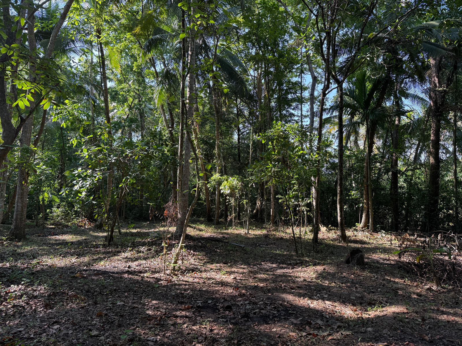 Residential Land for Sale in Hunumulla
