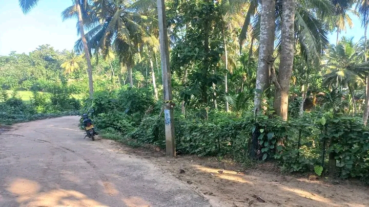 Residential Land for Sale in Tangalla