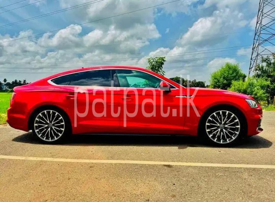 Advertisement image 2